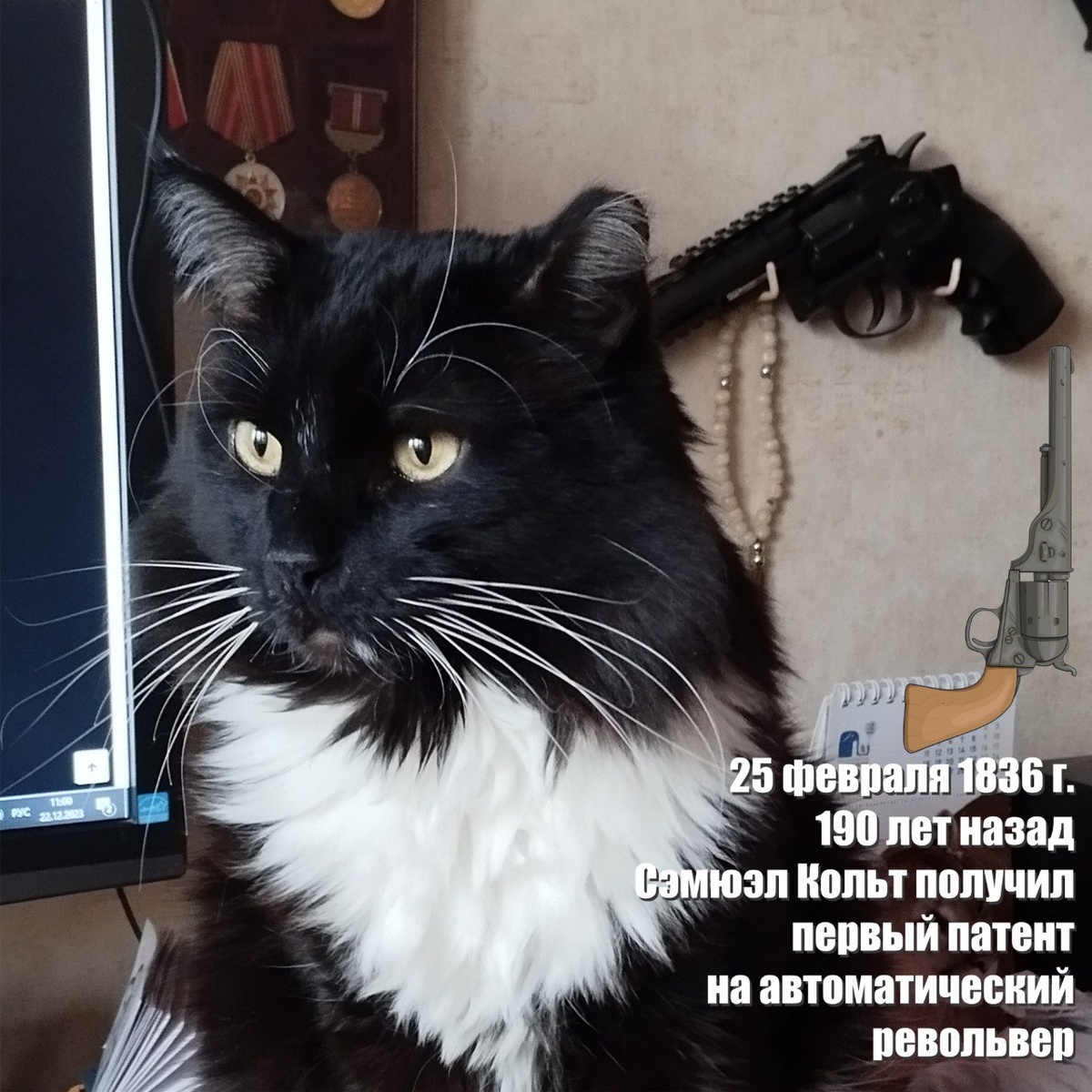 🐾 Комментарий Котейки Которого Не Пустили В Евросоюз, потому что он черный: