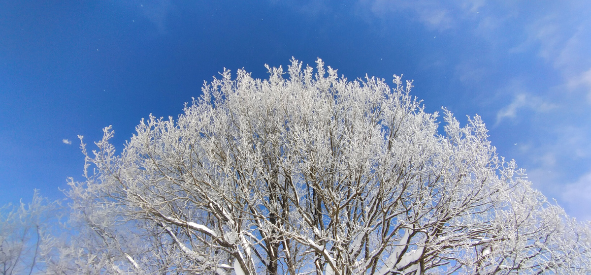 Личное фото