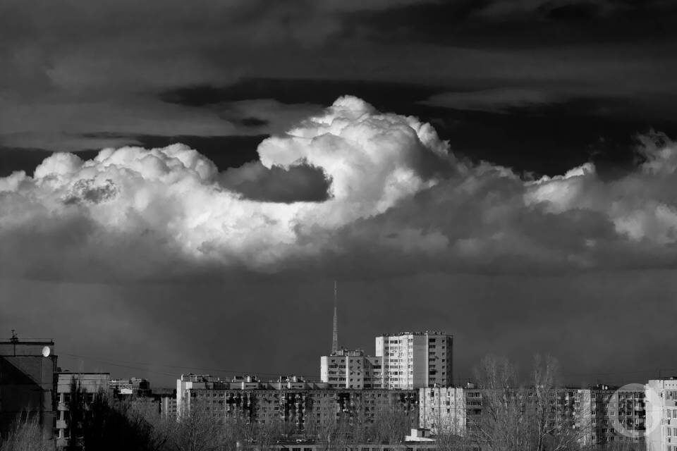    Фото: Михаил Тарасов / "Городские вести"