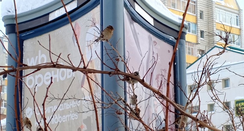    Фотоархив редакции