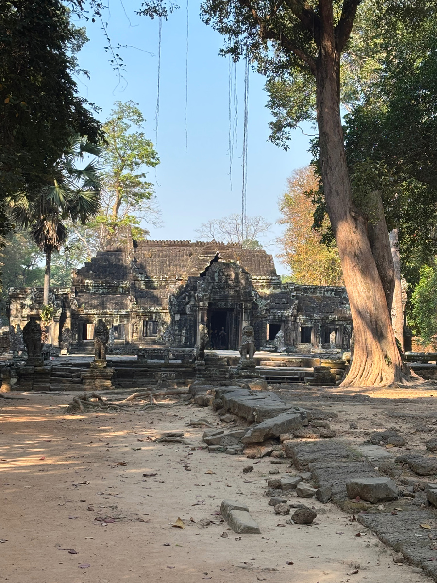Бантай Кхей среди джунглей — тихий свидетель XII века, где архитектура и природа переплетаются в единую гармонию.