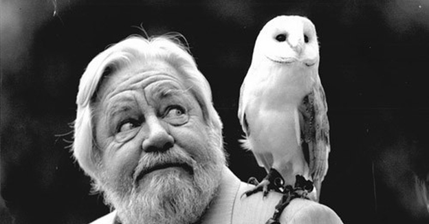 Фото из интернета