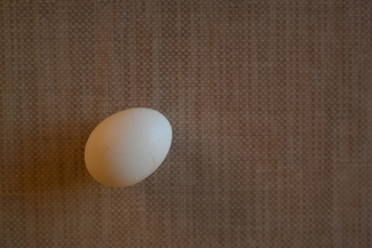 2. Немного сместил от центра, как говорят по правилу третей, но фотография лучше не стала