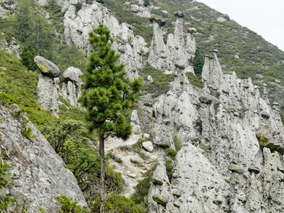 Каменные грибы