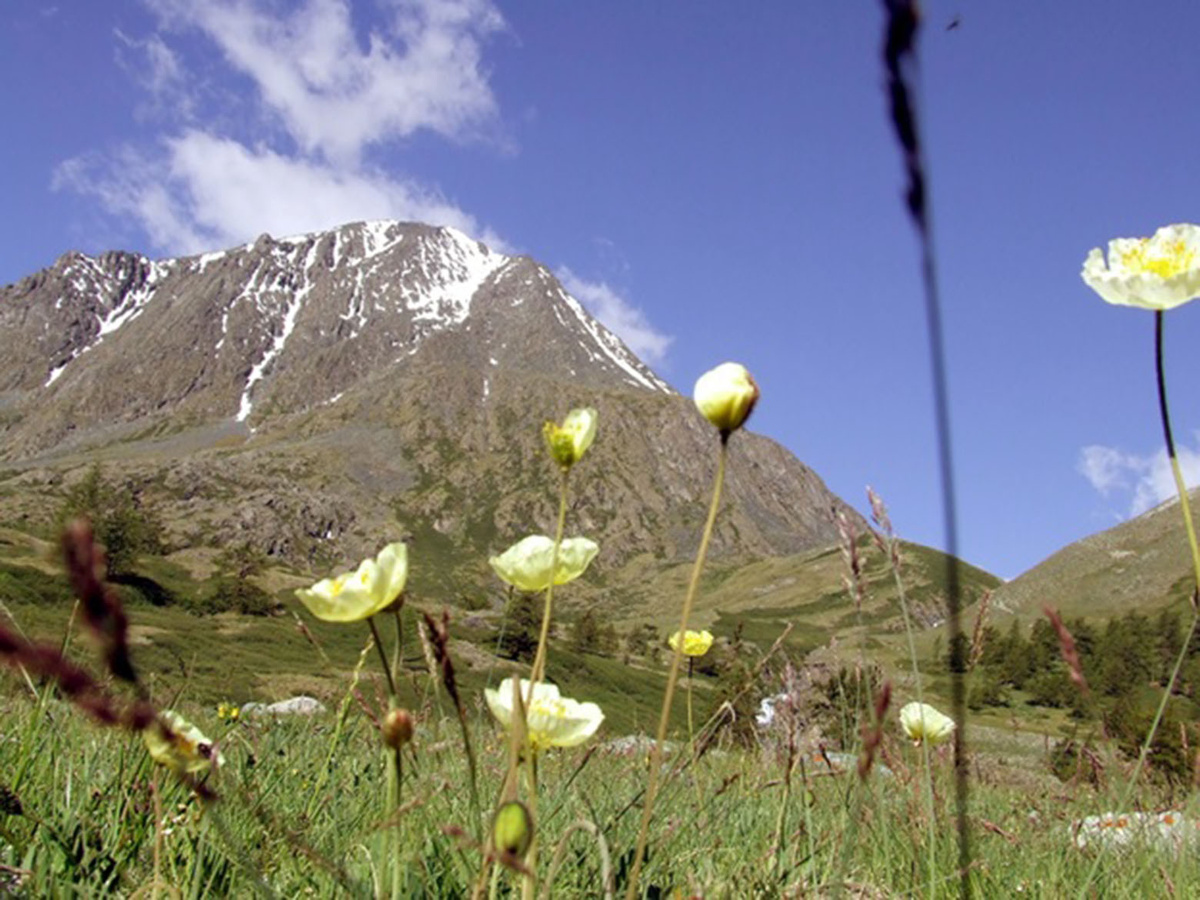 На пути к Софийскому леднику