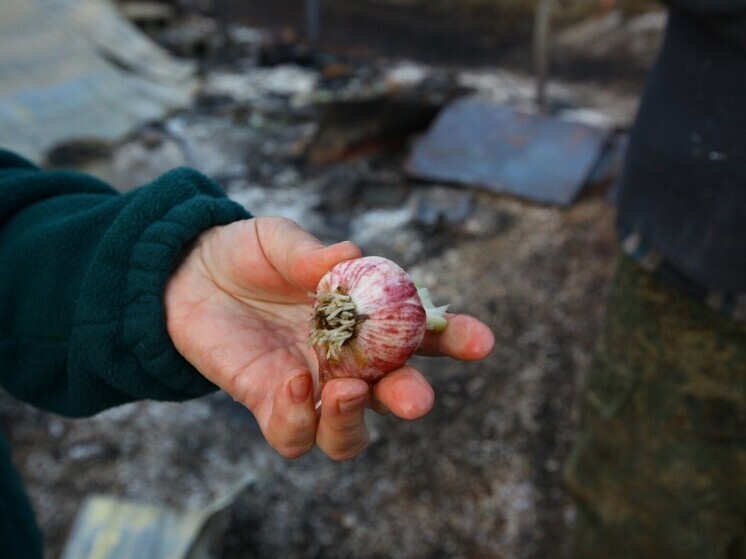     Фото: Юлия Боровикова («Вечерний Челябинск»)