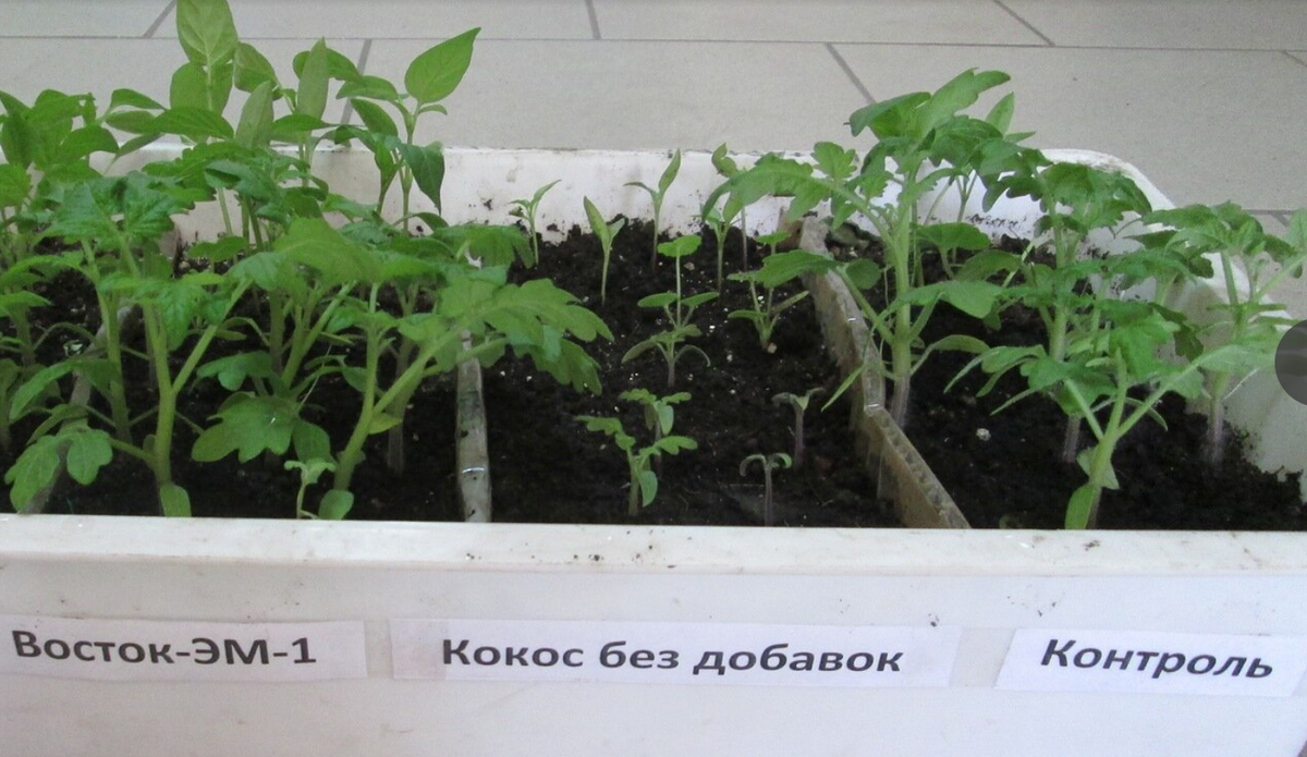 Без комментариев