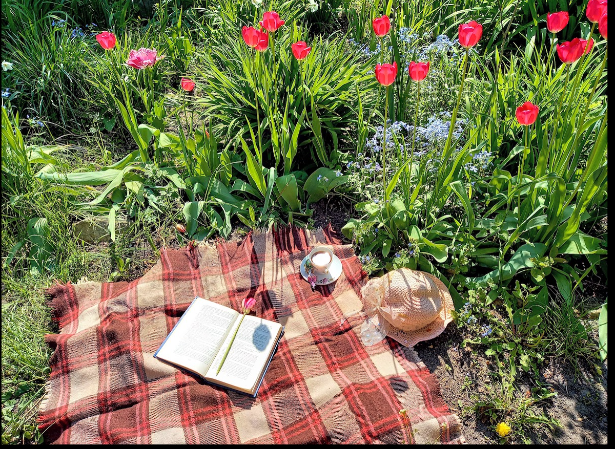 Фото автора вот одна из шалей прабабушки, сейчас её постоянно использую, а ещё одну, что лежала, ждала, моль погрызла!