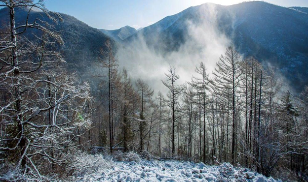 Фото из интернета.