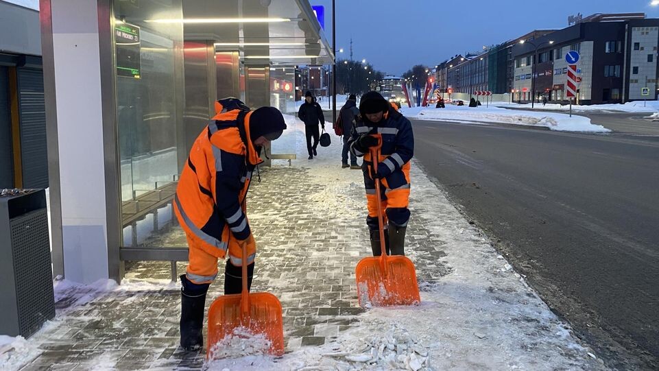    Анна Артюшина