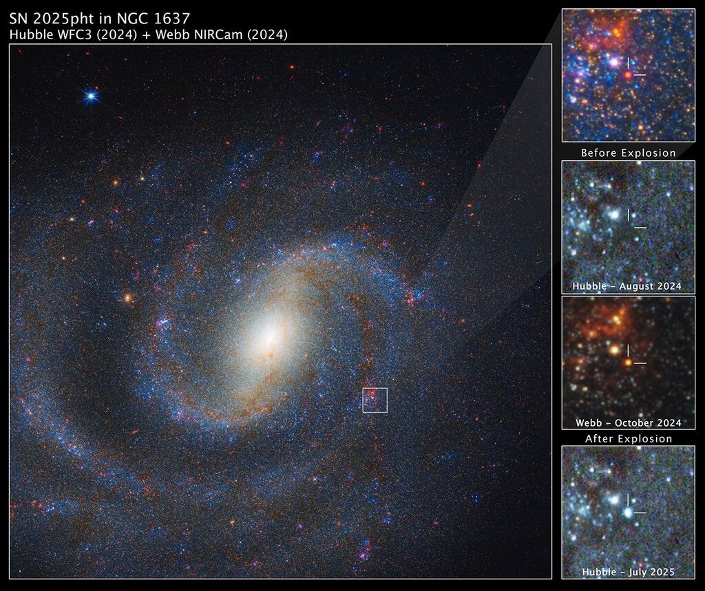    SN 2025pht в галактике NGC 1637: комбинированные данные Hubble и Webb. Источник изображения: NASA / ESA / CSA / STScI.