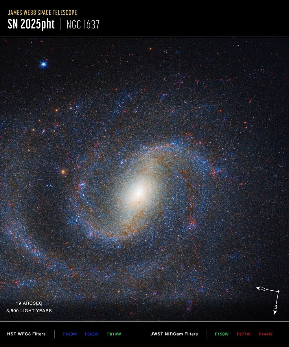    Галактика NGC 1637 на снимке телескопа Webb. Источник изображения: NASA / ESA / CSA / STScI.