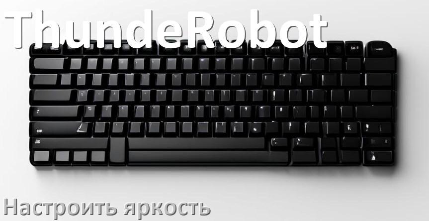 
Как на клавиатуре ThundeRobot увеличить яркость подсветки или уменьшить в Windows 10 и 11