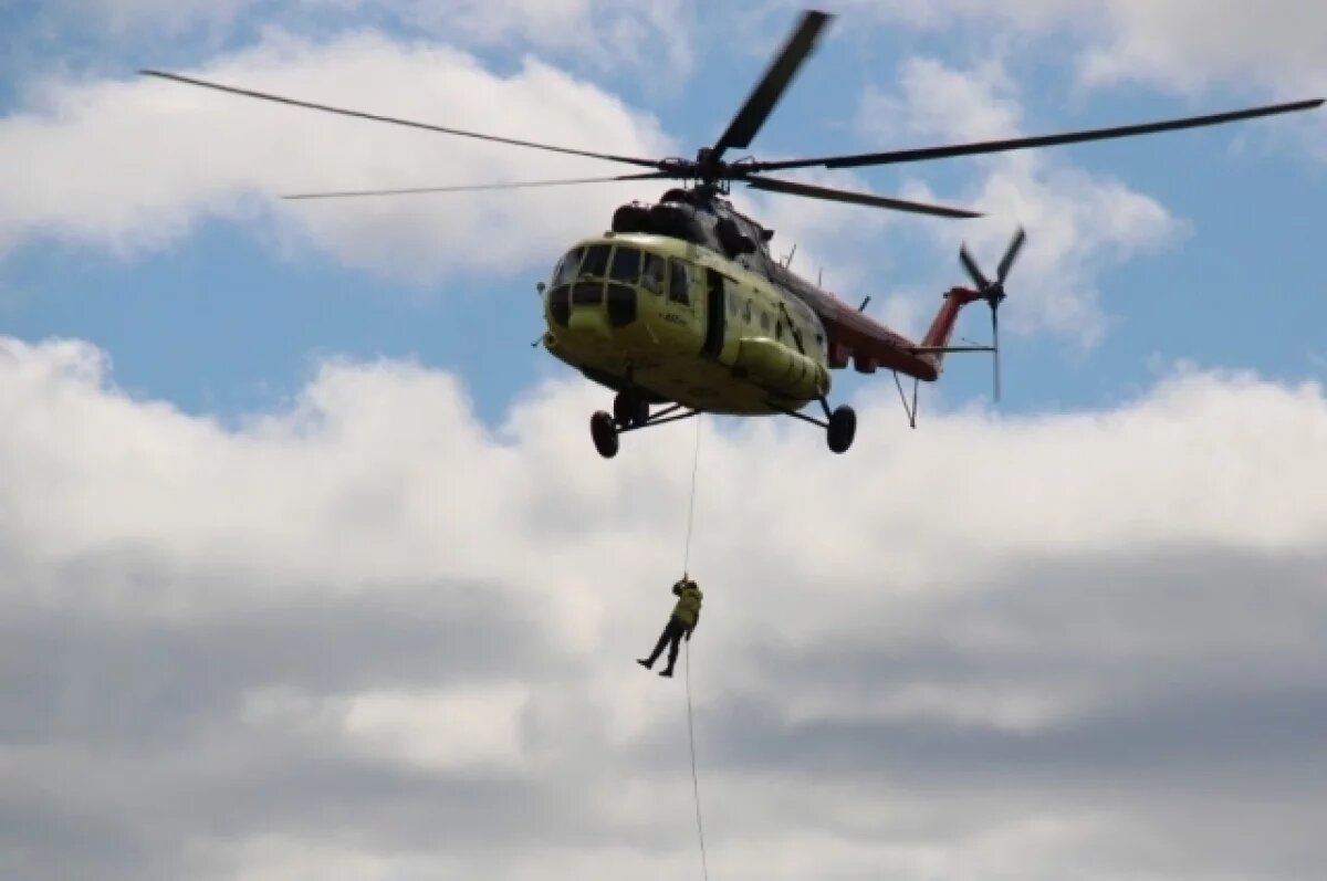    В Омской области создали новое авиаотделение для тушения лесов