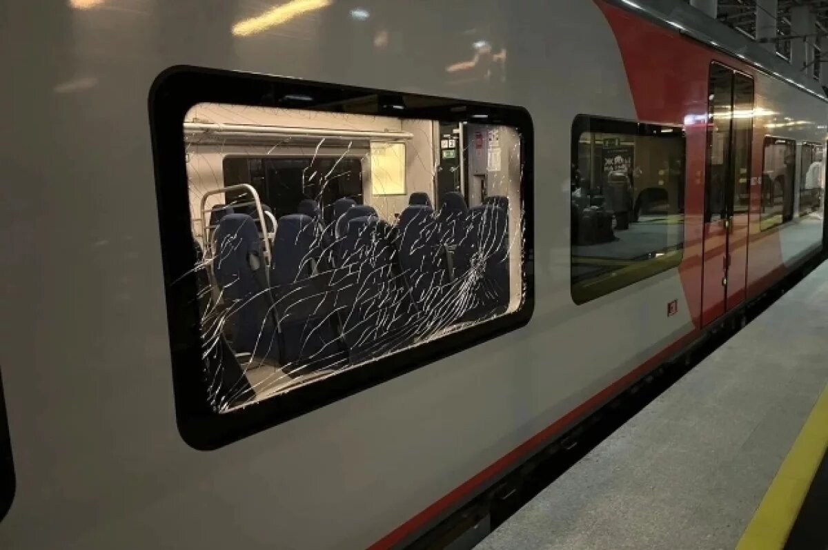    10-летний школьник разбил камнями стекла в двух «Ласточках» в Сочи