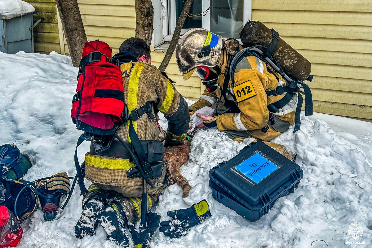    фото: © МЧС Карелии