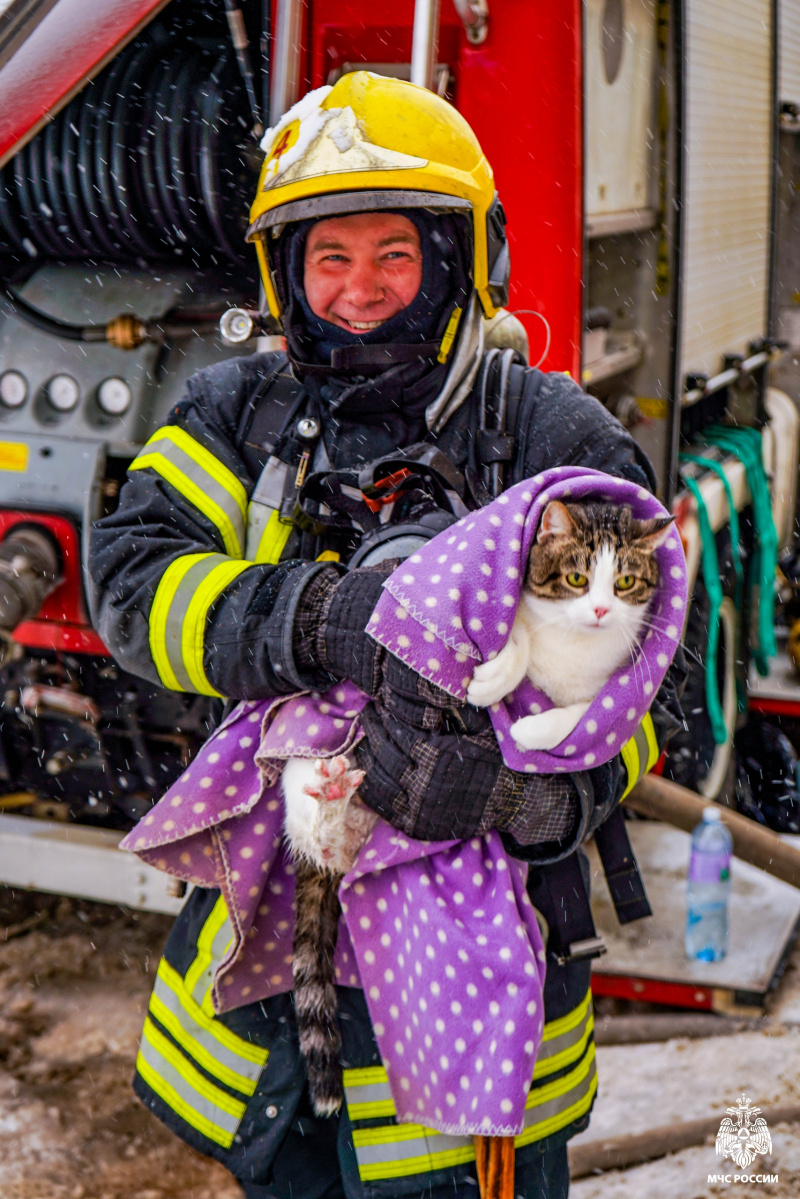    Кота пришлось реанимировать после пожара в Петрозаводске© МЧС Карелии