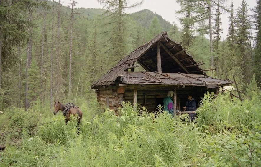 Взято из открытых источников интернета Яндекс.