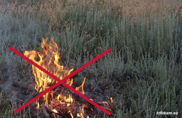 Шашлыки и костры в лесу отменили в Волгоградской области с первого месяца весны