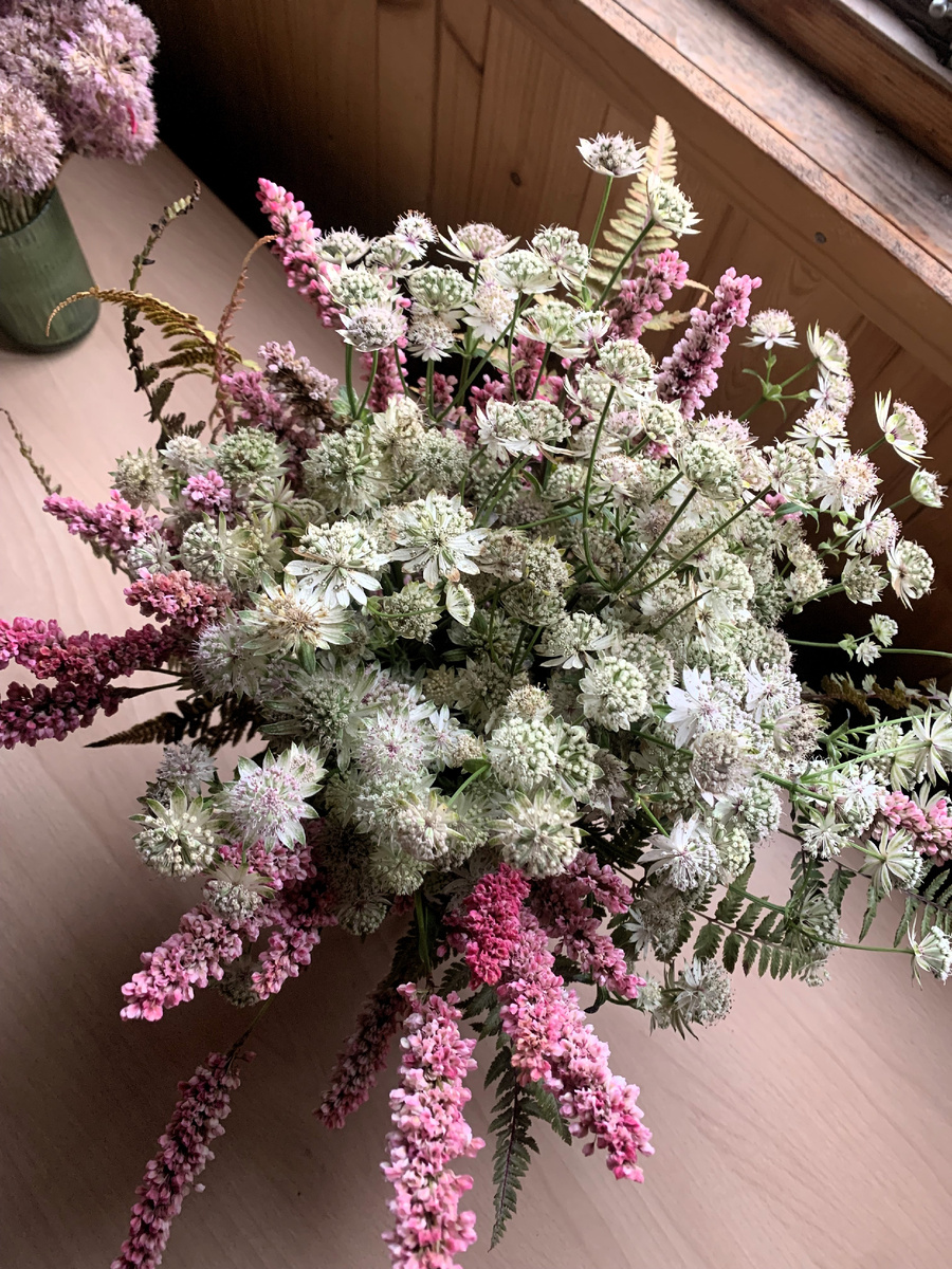 Астранция и Горец родственный в букете