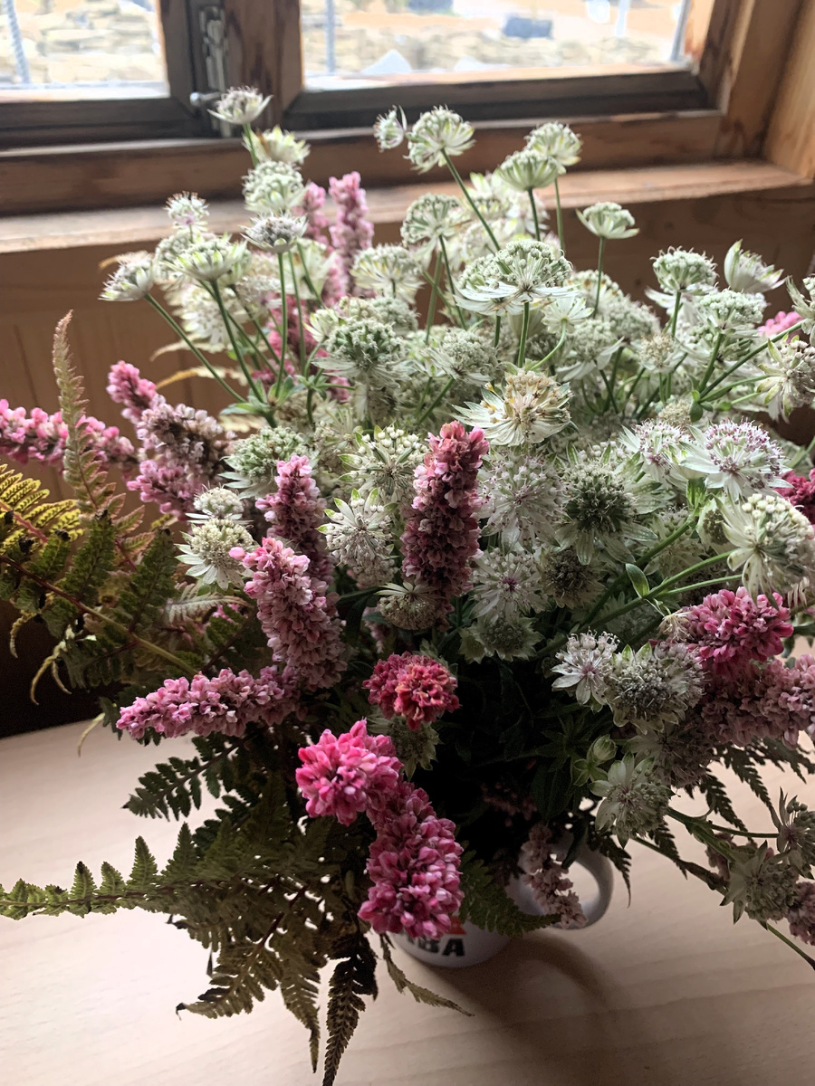 Астранция и Горец родственный в букете