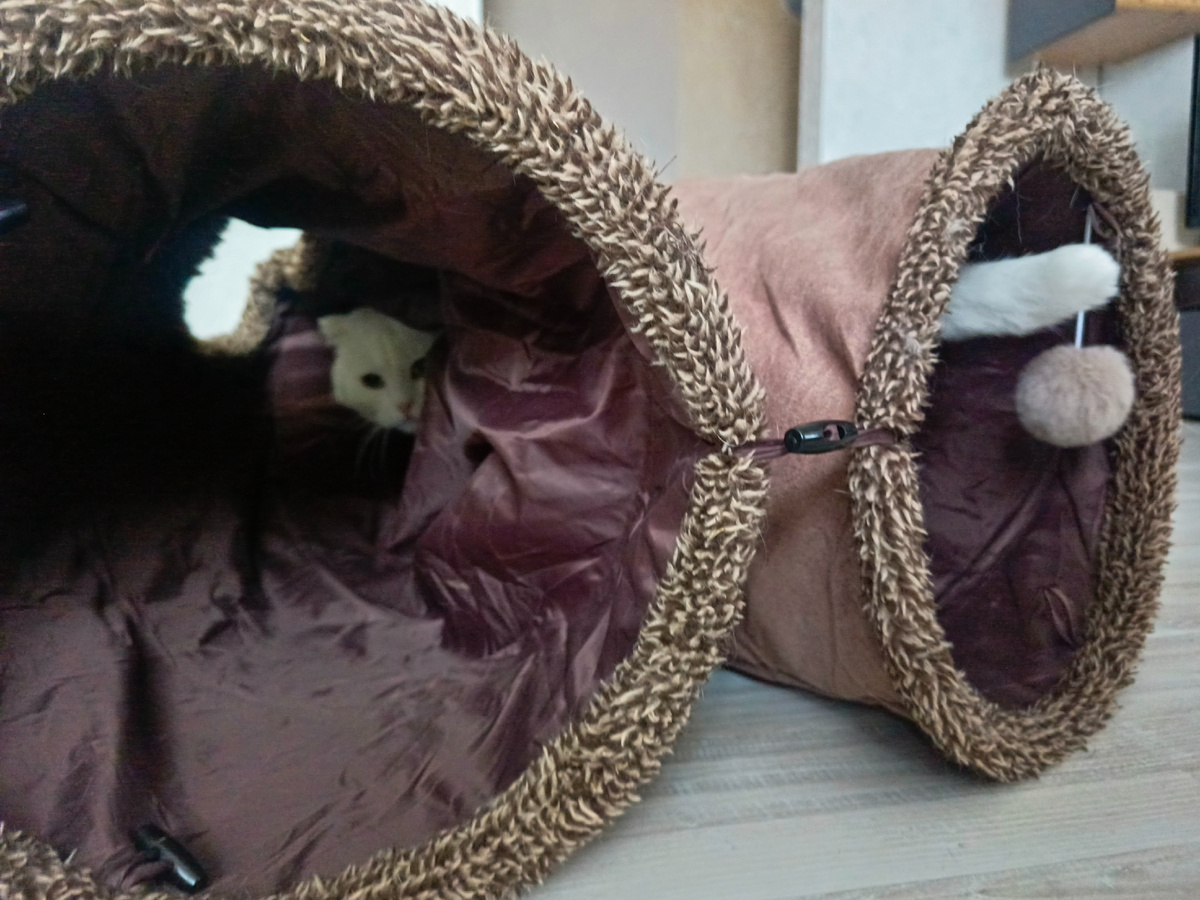 Азура в туннеле. Фото автора