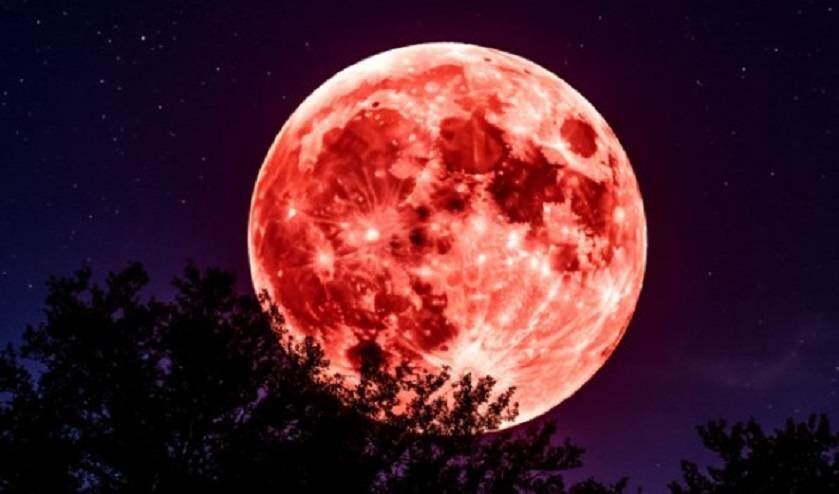    Источник фото: shedevrum