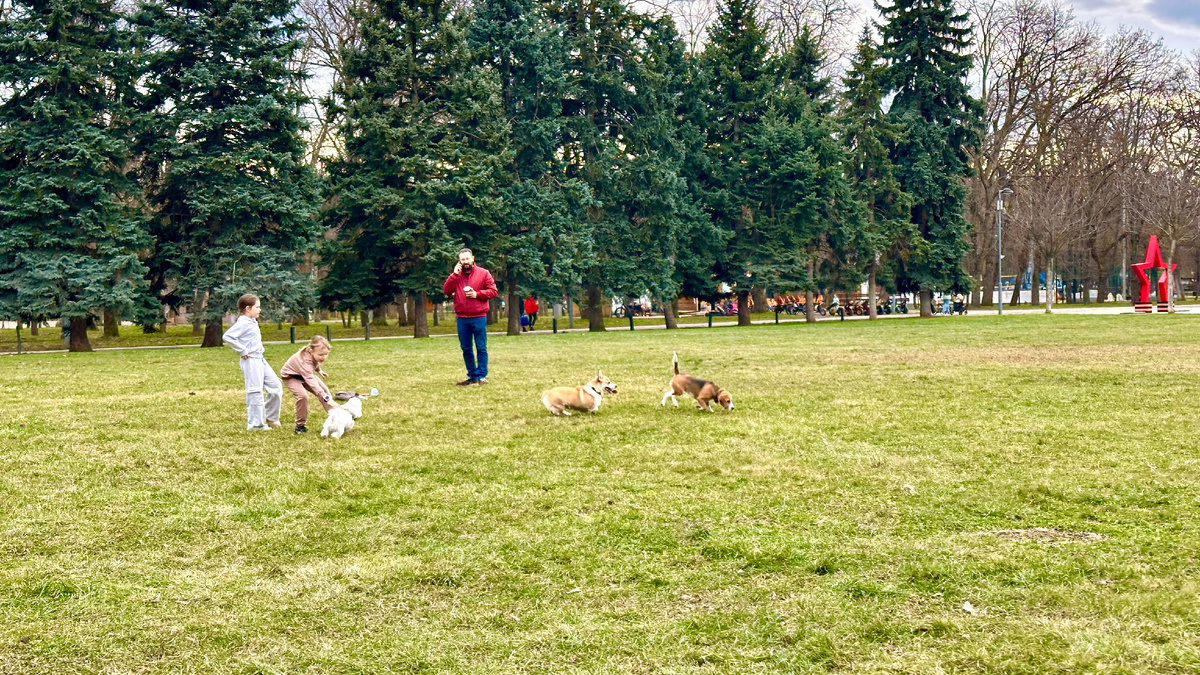 "Тяжёлая" зима 2026 в Краснодаре) 