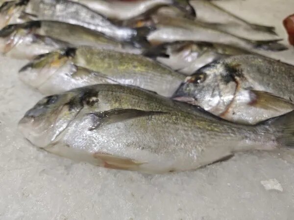 День Алексея Рыбного: какие праздники отмечают 25 февраля