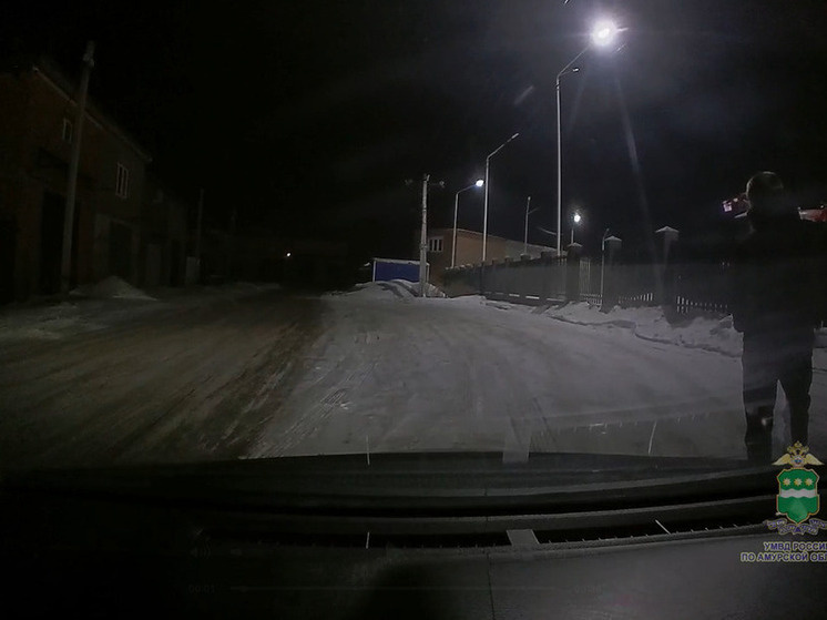     В Благовещенске угонщик сделал селфи и «застрял» на чужом авто. фото: скриншот из видео амурской полиции