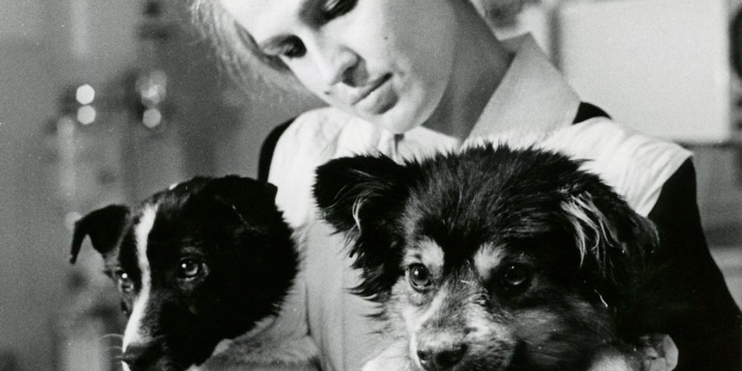 ВЕТЕРОК И УГОЛЁК: КОСМОНАВТЫ-РЕКОРДСМЕНЫ