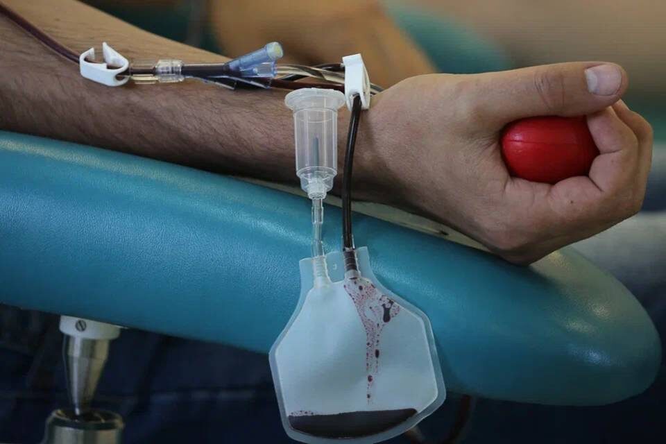    Фото: Дмитрий Рогулин / "Городские вести"