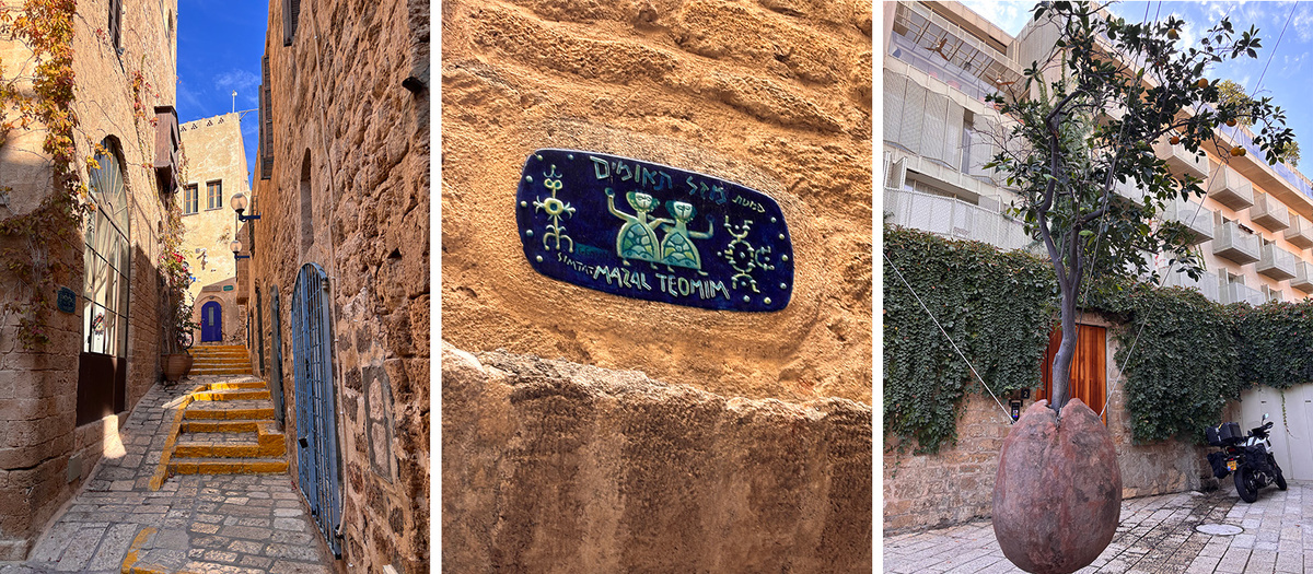 Елена Фомина / РБК Life📷Улочки Старого города и парящее апельсиновое дерево