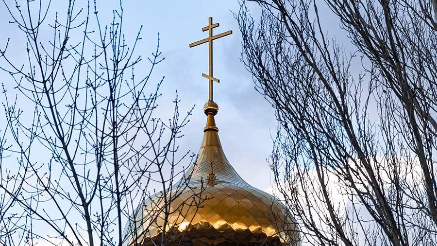    Фото: Global Look Press/Oleg Spiridonov