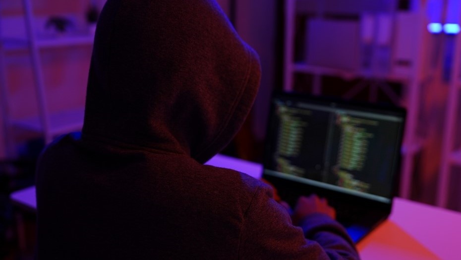    Автор фото: iJeab/shutterstock.com