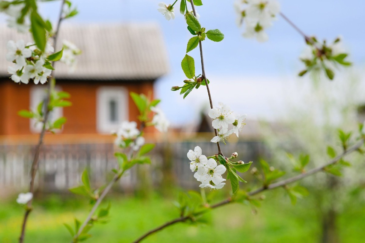    Фото: iStock/Nikita Burdenkov