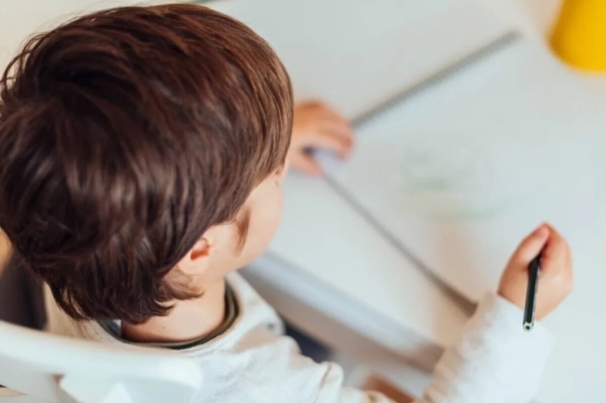    Минобр назвал условия дистанта новосибирским школьникам в морозы