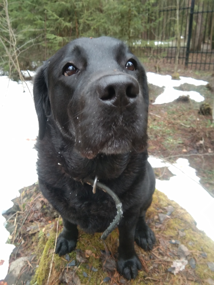 Фото автора. 