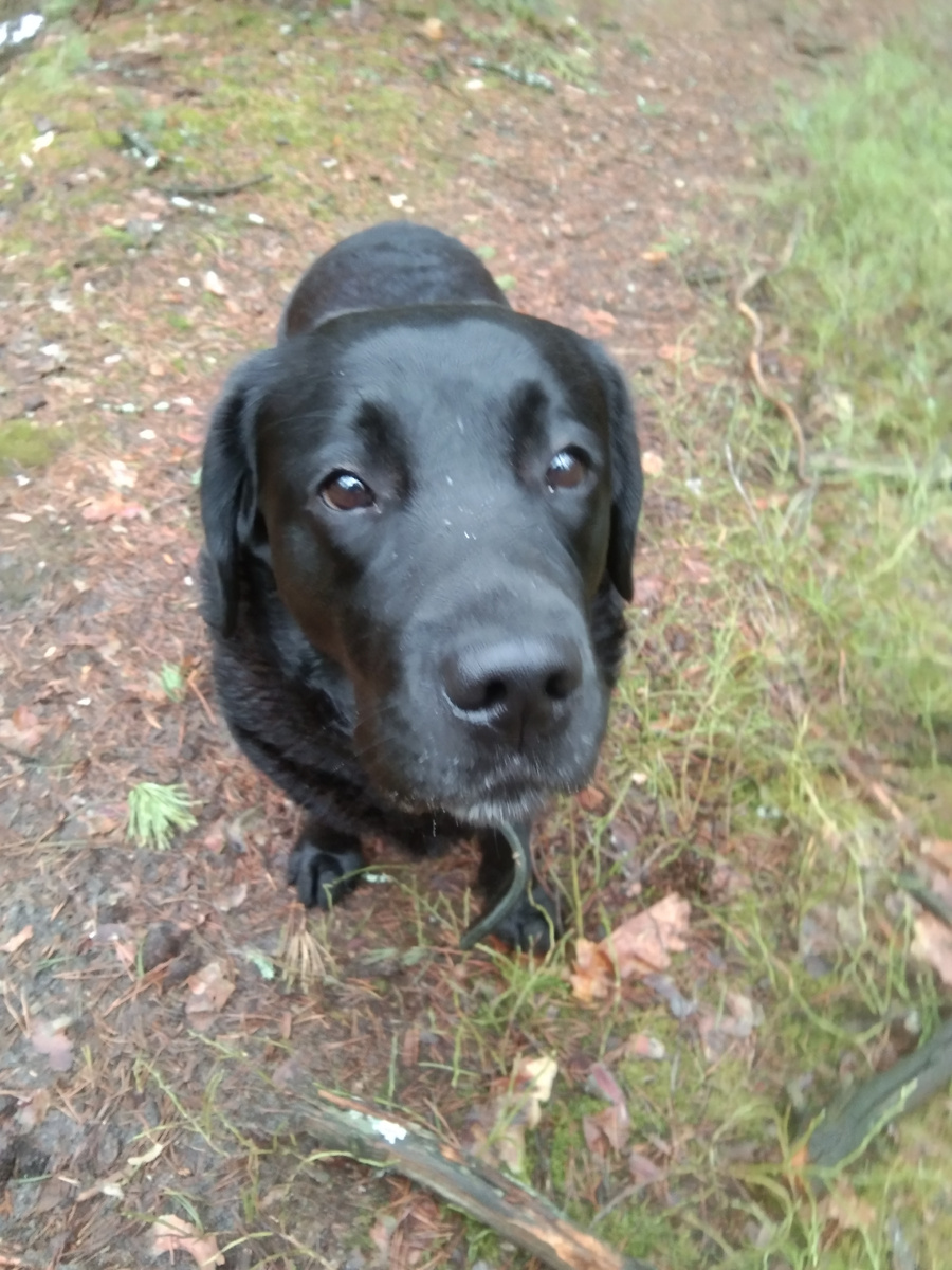 Фото автора. 