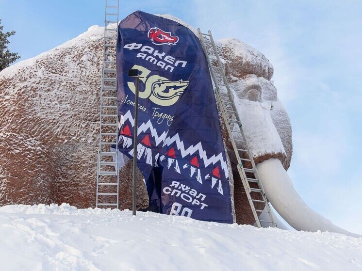     Фото: Никита Погодин/«Ямал-Медиа»