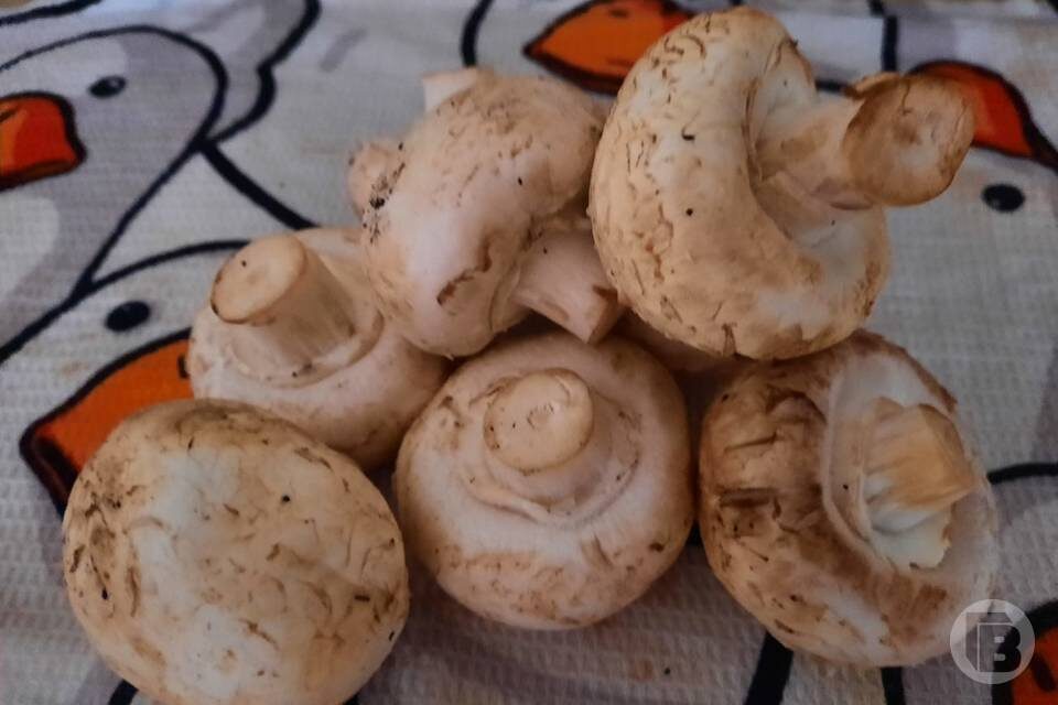    Фото: Елена Силантьева / "Городские вести"