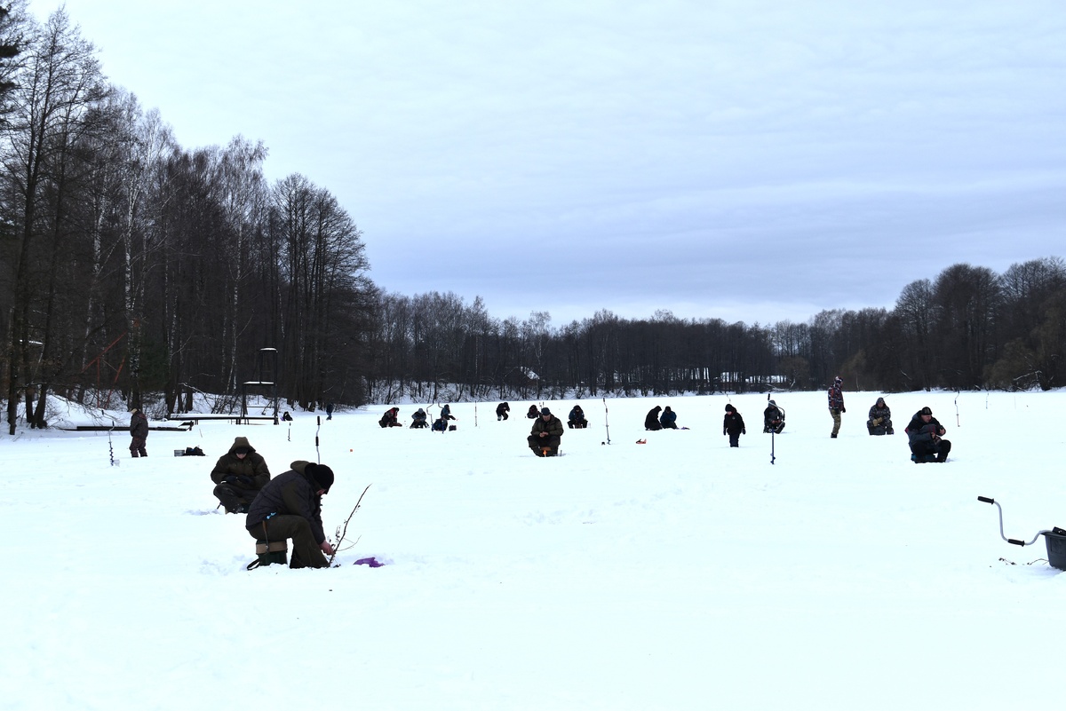   Фото: Екатерина Семянищева.
