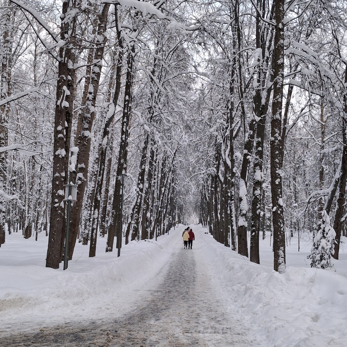 В парке "Швейцария" в Нижнем Новгороде. Фото автора. 