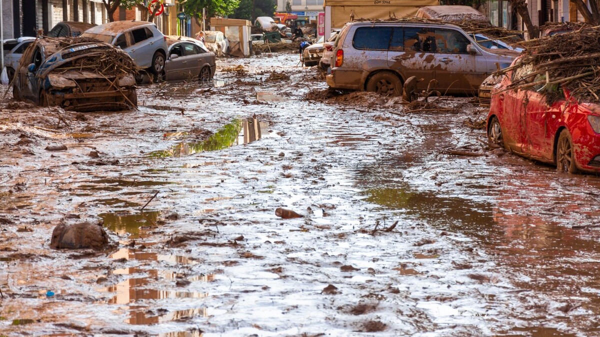    Фото: Vicente Sargues/Shutterstock/Fotodom