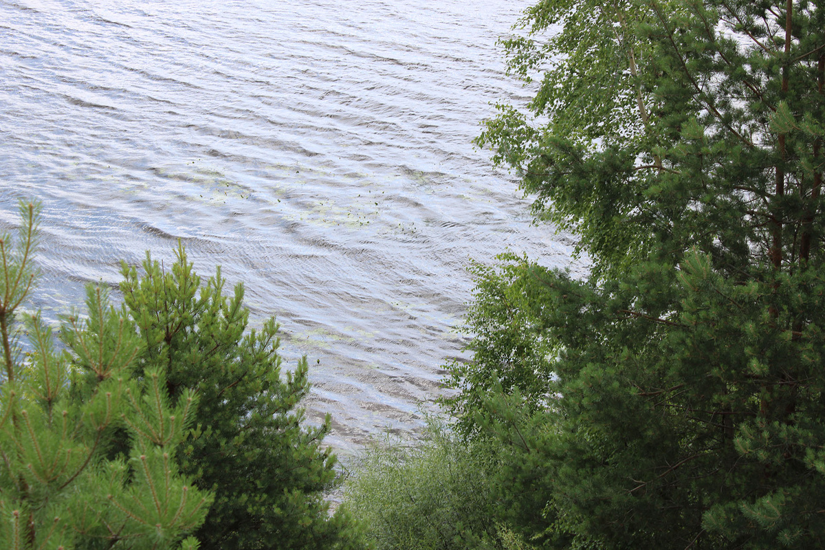 Предстоящее лето в Москве способно оказаться значительно теплее нормы.  Фото: Фото: ФедералПресс / Ксения Кобалия