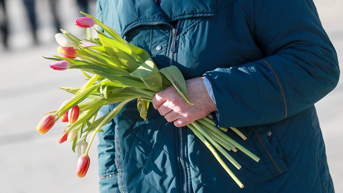    Фото: Василий Кузьмиченок / АГН Москва