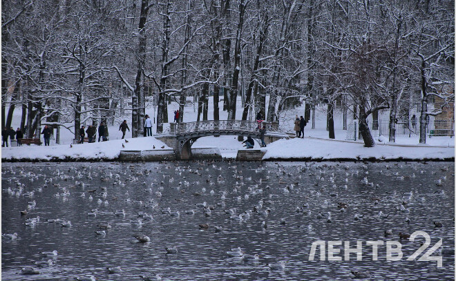    © Анастасия Илюшина / ЛенТВ24. Архивное фото