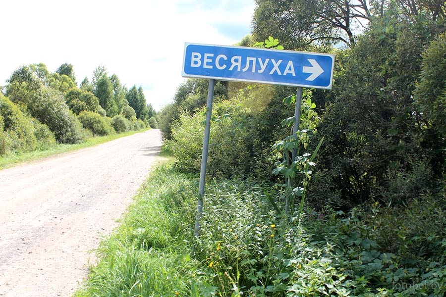 фото: яндекс