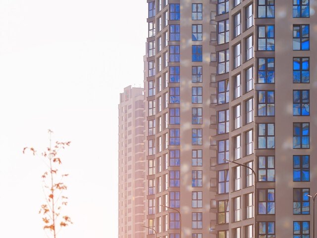    Фото: 123RF.com/tanitako