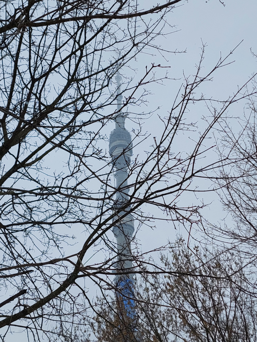 В день моего посещения телебашня была окутана плотными снежными тучами. Фото автора. Листайте галерею, чтобы увидеть другие фото →